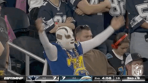 National Football League GIF by NFL