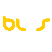 blvs animated beach volley beachvolley Sticker