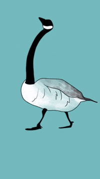 motionbynatasha 2d animation goose neck GIF