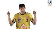 Handball-Bundesliga Sport GIF by LIQUI MOLY HBL