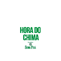 Mate Chimarrao Sticker by Seiva Pura