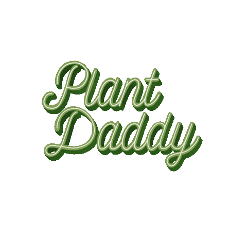 Monstera Greenhouse Sticker