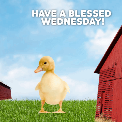 Have A Blessed Wednesday!