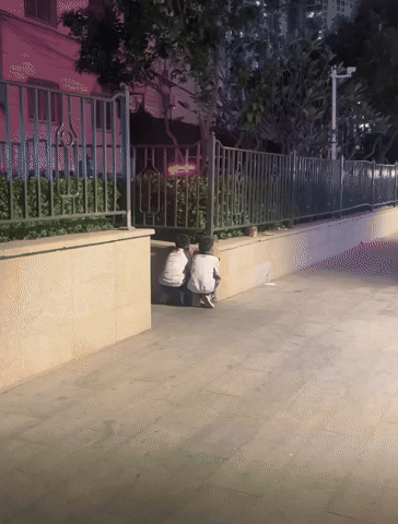 cuteanimalland giphyupload GIF