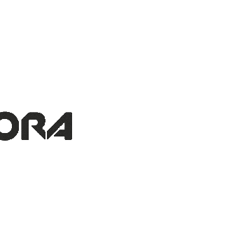 Spidora giphyupload black frame spidora Sticker