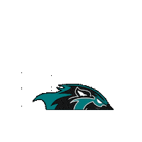 AlisoNiguelFootball football anhs aliso football anhs football Sticker