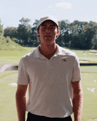 Stingem GIF by Georgia Tech Yellow Jackets
