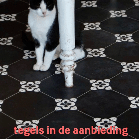 MoniqueVanWaes giphygifmaker voorraad jaren30tegels vintage-tegels GIF