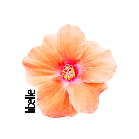 aloha beach please Sticker by Libelle.nl