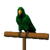 questions vet STICKER