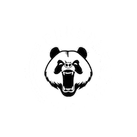 Rdmistanbul Sticker by RUNDAMENTAL