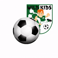 wildkids_fvschutterwald football soccer fussball blackforest GIF