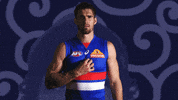 aussie rules football sport GIF by Western Bulldogs