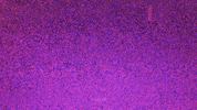 glitch fuzz GIF by Terror Jr