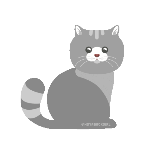 hoyabackgirl giphyupload cat illustration kawaii Sticker
