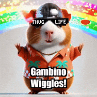Guinea Pig Trending GIF by Guinea Gambino