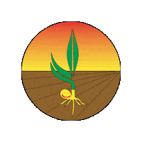 Agro Agronegocio Sticker by AgroSuporte Cristalina