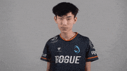 Esports Calling GIF by Rogue