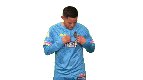 Las Vegas Soccer Sticker by Lights FC