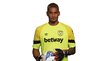 Premier League Hammers Sticker by West Ham United
