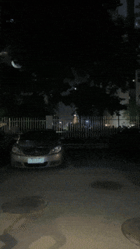 Dance Laughing GIF