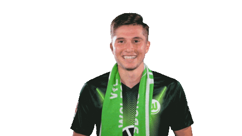 Soccer Instagram Sticker by VfL Wolfsburg