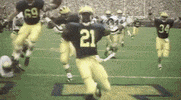 GIF by Michigan Athletics