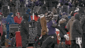 National Football League GIF by NFL