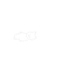 Cat 고양이 Sticker by withsome