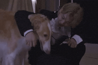 Behind The Scenes Puppy GIF