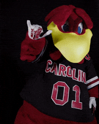 Mascot Spurs GIF by University of South Carolina