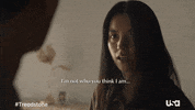 Usa Network Television GIF by Treadstone