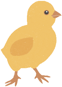 Illustration Bird Sticker