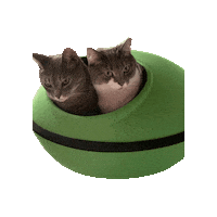 Cats Lovers Sticker by Smitten Kitten