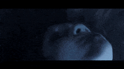 Hard Rock Horror GIF by Ice Nine Kills
