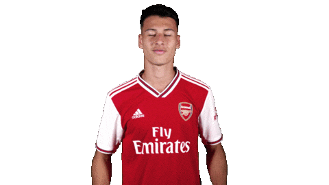 Celebrate Premier League Sticker by Arsenal