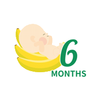Baby Banana Sticker