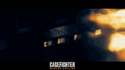 Mixed Martial Arts Fight GIF by Indiecan Entertainment Inc.