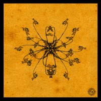 animation illumination GIF by Circle Art