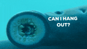 Hangout Swimming GIF by U.S. Fish and Wildlife Service