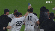 New York Yankees Win GIF by MLB