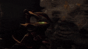 KromeStudios glow ty boomerang rang GIF