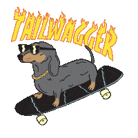 dog skateboard Sticker by beangoods