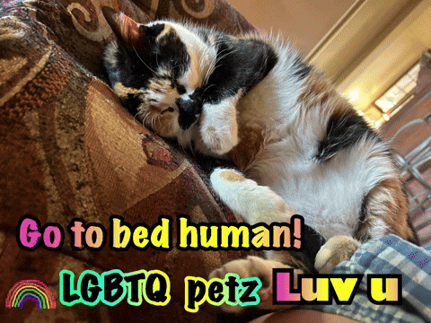 jeremyhyde627ac136f06448b08fd84066bbcb6435 giphyattribution luv u lgbtq petz go to bed human GIF