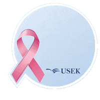 Breast Cancer Awareness Sticker by Holy Spirit University of Kaslik