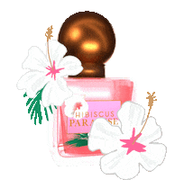 Pink Perfume Sticker by Bath & Body Works
