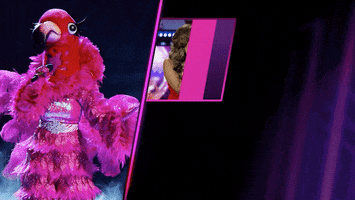 Fox GIF by The Masked Singer