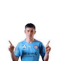 Metcalfe Sticker by Melbourne City