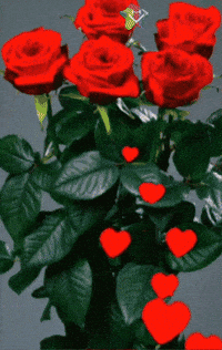 Amigos Buenas Noches GIF by Murcianys LLC