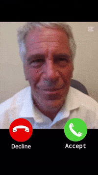 Epstein Calling GIF